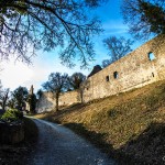 Ruine_Homburg_Goessenheim / 20150323_IMG_2990.jpg