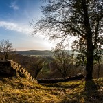 Ruine_Homburg_Goessenheim / 20150323_IMG_2997.jpg