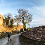 Ruine_Homburg_Goessenheim / 20150323_IMG_3153.jpg