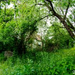 Schlossruine_Hoellrich / 20160519_IMG_7049.jpg