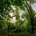 Schlossruine_Hoellrich / 20160519_IMG_7054.jpg