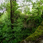 Schlossruine_Hoellrich / 20160519_IMG_7063.jpg