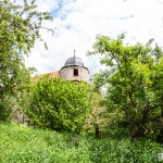 Schlossruine_Hoellrich / 20160519_IMG_7097.jpg