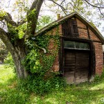 Schlossruine_Hoellrich / 20160519_IMG_7098.jpg