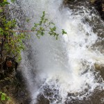 Wasserfaelle_Scheidegg / 20160528_IMG_7699.jpg