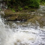 Wasserfaelle_Scheidegg / 20160528_IMG_7795.jpg