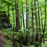 Wasserfaelle_Scheidegg / 20160528_IMG_7812.jpg