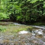 Wasserfaelle_Scheidegg / 20160528_IMG_7834.jpg