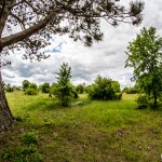 Ruine_Homburg_Goessenheim / 20160604_IMG_7116.jpg