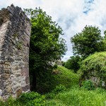 Ruine_Homburg_Goessenheim / 20160604_IMG_7128.jpg