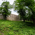 Ruine_Homburg_Goessenheim / 20160604_IMG_7134.jpg