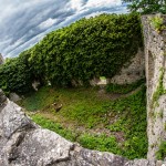 Ruine_Homburg_Goessenheim / 20160604_IMG_7139.jpg