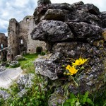 Ruine_Homburg_Goessenheim / 20160604_IMG_7182.jpg