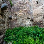 Ruine_Homburg_Goessenheim / 20160604_IMG_7227.jpg