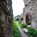 Ruine_Homburg_Goessenheim / 20160604_IMG_7251.jpg