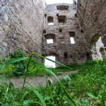 Ruine_Homburg_Goessenheim / 20160604_IMG_7260.jpg