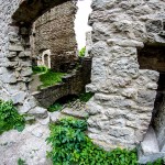 Ruine_Homburg_Goessenheim / 20160604_IMG_7295.jpg