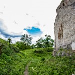 Ruine_Homburg_Goessenheim / 20160604_IMG_7309.jpg