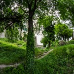 Ruine_Homburg_Goessenheim / 20160604_IMG_7335.jpg