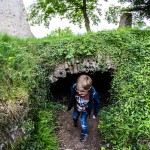 Ruine_Homburg_Goessenheim / 20160604_IMG_7378.jpg