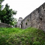 Ruine_Homburg_Goessenheim / 20160604_IMG_7429.jpg