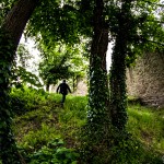 Ruine_Homburg_Goessenheim / 20160604_IMG_7446.jpg