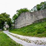 Ruine_Homburg_Goessenheim / 20160604_IMG_7465.jpg