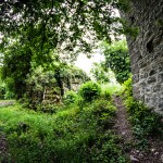 Ruine_Homburg_Goessenheim / 20160604_IMG_7473.jpg