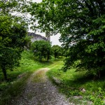 Ruine_Homburg_Goessenheim / 20160604_IMG_7477.jpg