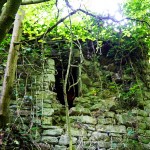 Landesgartenschau_Ruine_Teufelsschanze_Wuerzburg / 20160619_IMG_8588.jpg