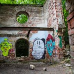 Villa_Ruine_Zeller_Waldspitze / 20160619_IMG_8643.jpg