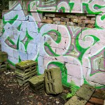 Villa_Ruine_Zeller_Waldspitze / 20160619_IMG_8676.jpg