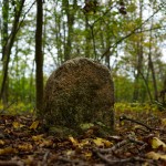 Nekropole_Sonnenberg_Randersacker / 20190929_DSC01874.jpg