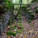 Nekropole_Sonnenberg_Randersacker / 20190929_DSC01913.jpg