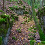 Nekropole_Sonnenberg_Randersacker / 20190929_DSC01935.jpg